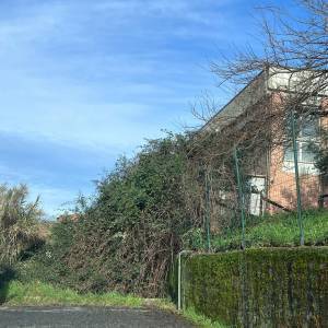 WhatsApp Image 2023-01-13 at 13.21.47 (1)