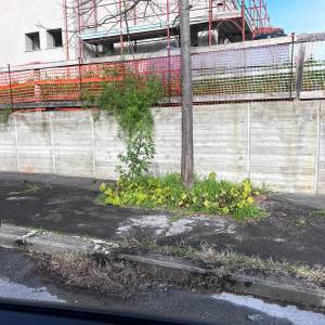 WhatsApp Image 2023-01-13 at 13.21.53 (2)