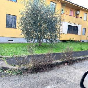 WhatsApp Image 2023-01-13 at 13.21.53 (4) (1)