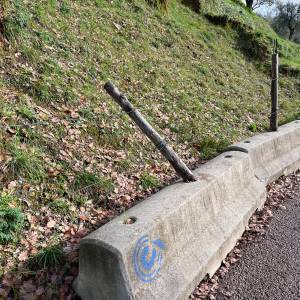 WhatsApp Image 2023-01-13 at 13.21.53