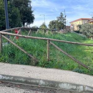 WhatsApp Image 2023-01-13 at 13.21.54 (1)