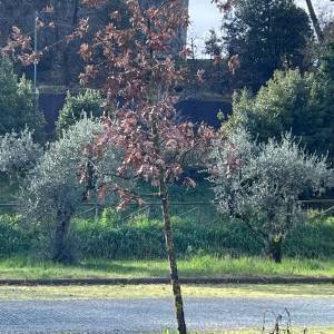 WhatsApp Image 2023-01-13 at 13.21.54 (2)