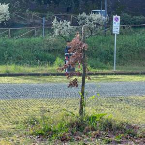 WhatsApp Image 2023-01-13 at 13.21.54 (3)