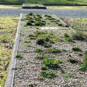 WhatsApp Image 2023-01-13 at 13.21.54