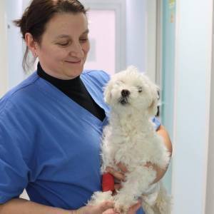 ba8981a6-811f-425f-b1e1-568c85d9b798