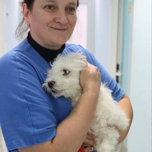 c598d643-6c50-447d-be54-5b388e07708b