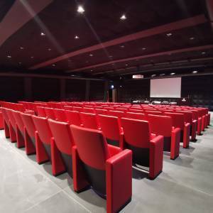 AUDITORIUM 2 MEYER HEALTH CAMPUS ph Giulia Righi (3)