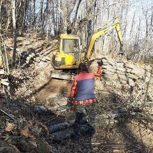 Boveglio_Donatella Bertolaccini_1