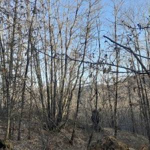 Boveglio_Donatella Bertolaccini_2