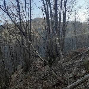 Boveglio_Donatella Bertolaccini_3