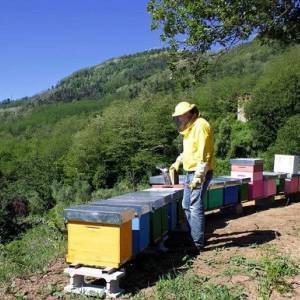 Pariana_Valerio Flosi_1