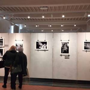 334563834_535185895390130_9000148016446570806_n