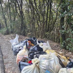 336669076_752666406487834_9092942644873739330_n