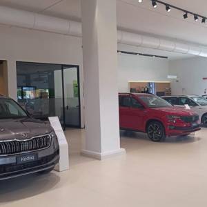 262fd339-08bf-43c5-819e-e541e33d7b07