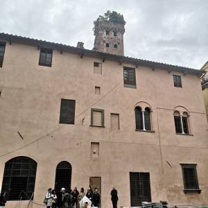 IMG_20230517_131510_copy_1200x1600