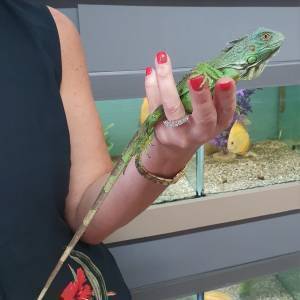 06dbcaf6-7daf-4a9c-a305-25cc2a1391b4