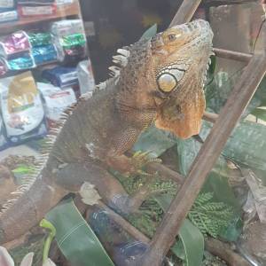 6561533d-dd17-4010-bd46-2fdc86b75def