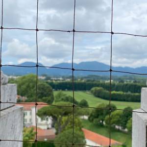 1dd5d586-e5f1-4a36-a10e-a7e986fd3402