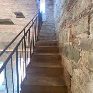 32246f52-719d-4cad-bc2d-65b0ff1c59a7