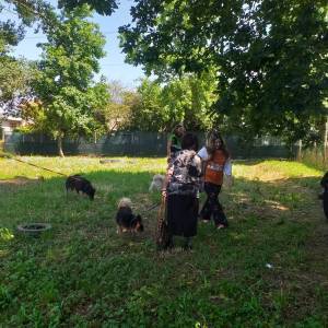 6938faf4-70bb-496f-a884-18050ef56535