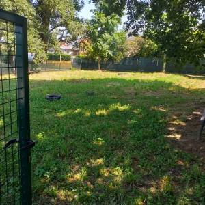 8f4e4504-ca05-45a2-90b5-98f98e50bb1e