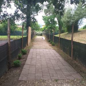 b3752c0d-20b8-4e41-af33-2a8cef459509