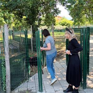 d1422f5d-7a4b-4108-855f-cd0d8386fbb0