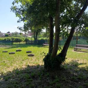 WhatsApp Image 2023-06-15 at 14.25.44