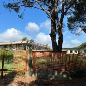 PHOTO-2023-06-18-16-34-37 8