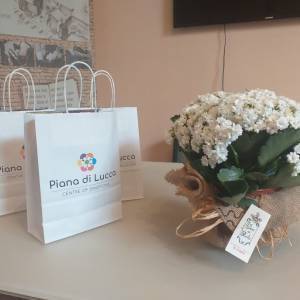 bfde55bd-6897-4174-97da-e5b8942729ac