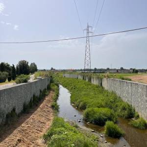 PHOTO-2023-07-12-15-38-06 2