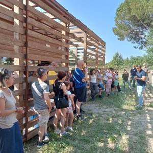 liberazione uccelli_sibolla_1