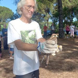 liberazione uccelli_sibolla_2