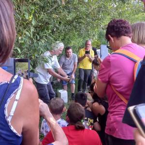 liberazione uccelli_sibolla_3