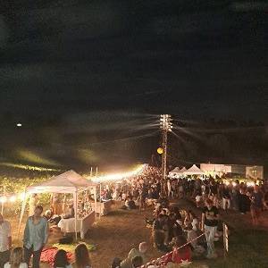 16a4e34a-1e6f-41aa-93b0-b3424db52637