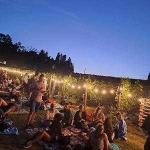 25f7e95c-7233-49f2-84df-15c528547e78