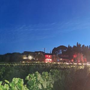 6b14897c-59e0-4dde-a846-6816f87d8e06