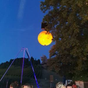 7c6b2306-d749-45a4-8ebf-91bd612ae861