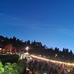 7e4576d9-2450-48ce-a9e3-d2c359d11846