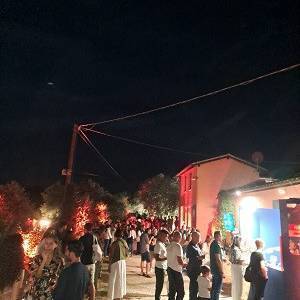 9c1dea67-2537-4c69-bbfe-c503dff5c3e8