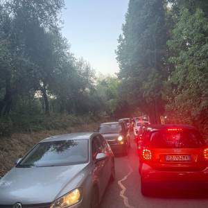 a61a38ec-3898-4168-8667-edf30870bdf5