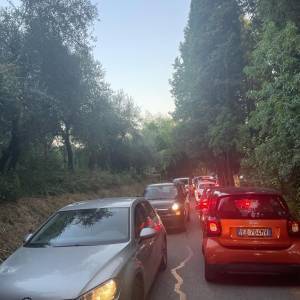 bf001815-08e0-41c0-b753-132ce353a9db