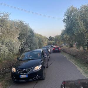 ece248a4-ed2d-407f-9c75-5e70ca0527df