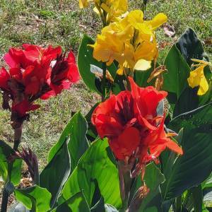 aed34149-3c75-4f46-a2e6-fc15d0a655a6