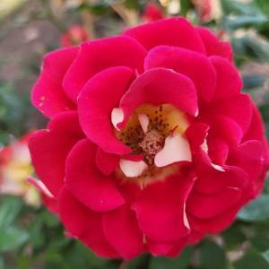 fe7e3f3e-63ae-4be3-a31b-6150962d552c