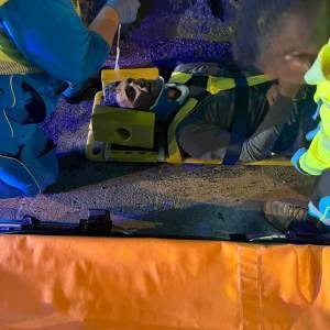 3a491c83-0b43-498d-a40a-999665aeb77e