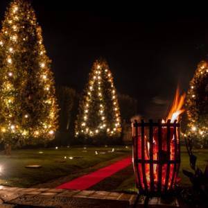 Magico Natale_Villa Reale di Marlia_Foto di Giuseppe Panico (6)