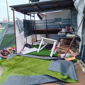 WhatsApp Image 2024-02-20 at 14.54.31 (3)