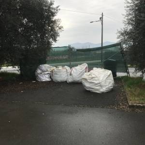 WhatsApp Image 2024-02-20 at 14.54.31 (6)