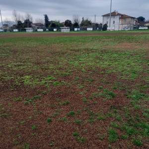 WhatsApp Image 2024-02-20 at 14.54.31